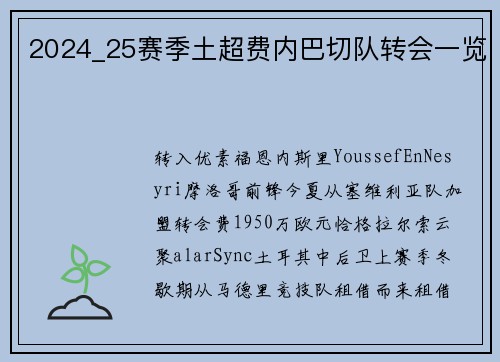 2024_25赛季土超费内巴切队转会一览
